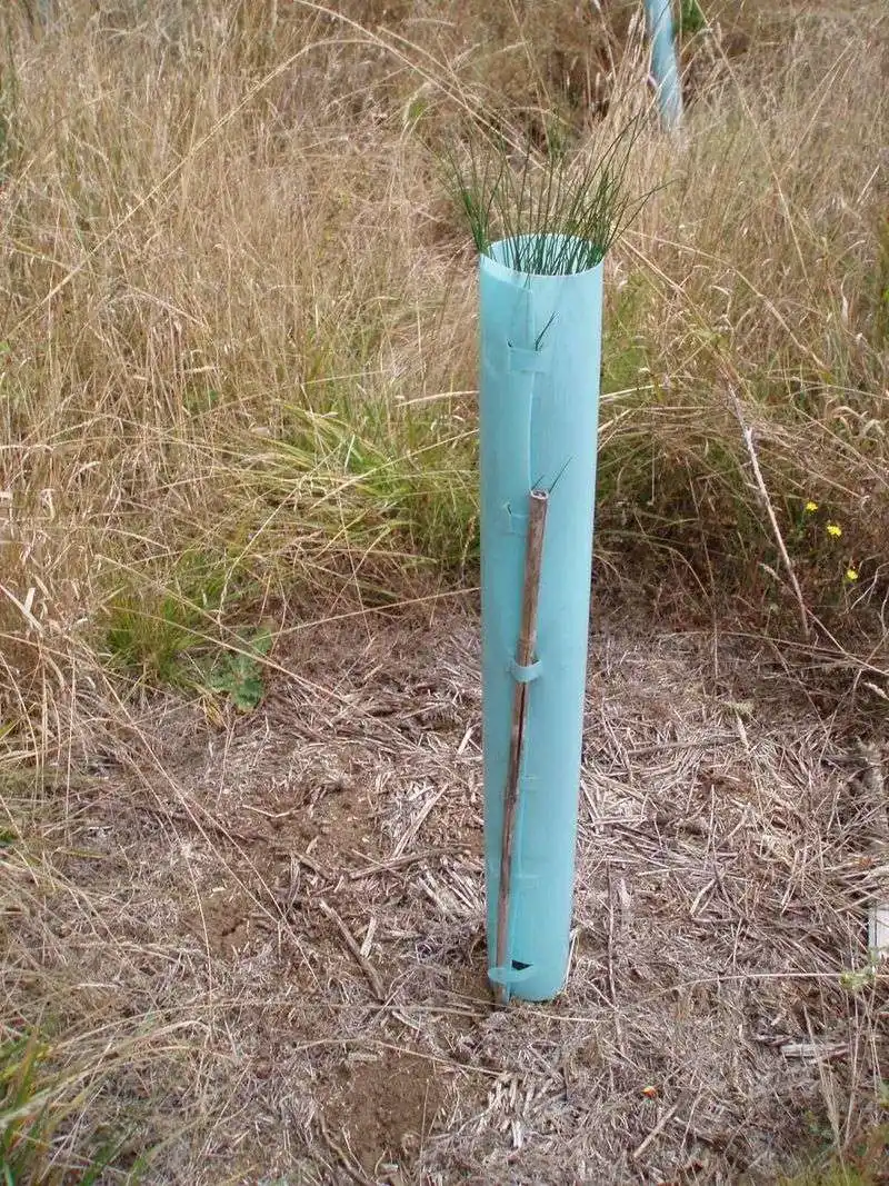 Mistake 6: Neglecting Wind Protection