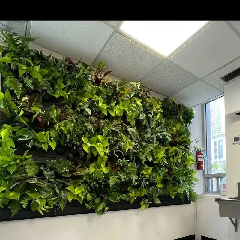 Modular Living Walls