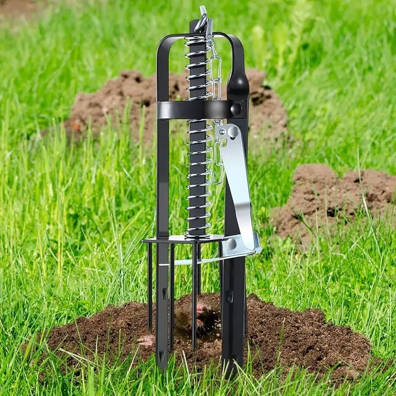 Mole Traps