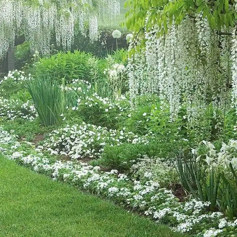 Moon Gardens