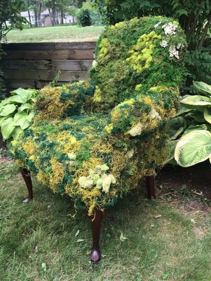 Moss-Covered Furniture