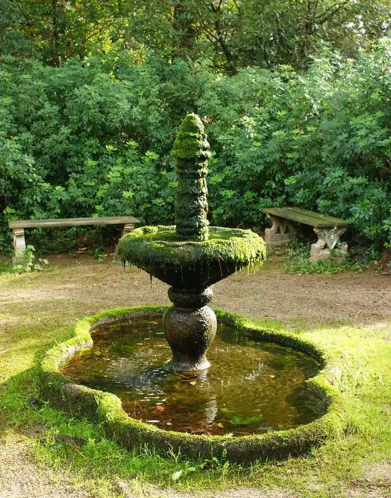 Moss-Covered Water Features