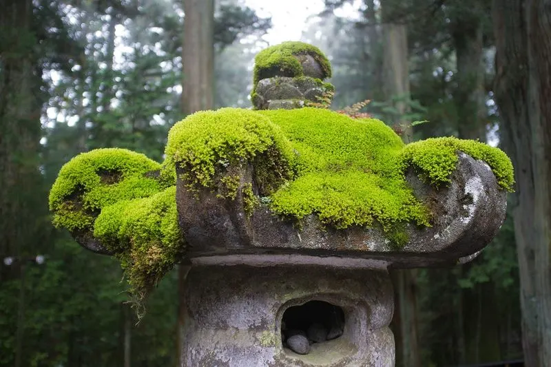 Moss Garden Sculptures