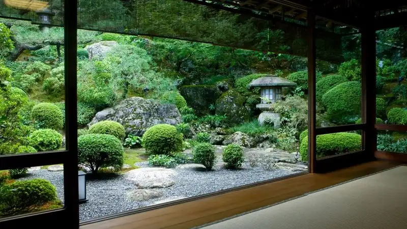 Minimalist Plantings