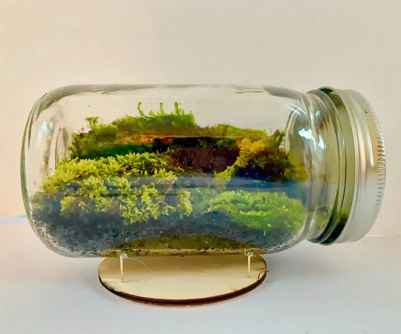 Moss Jar Landscapes