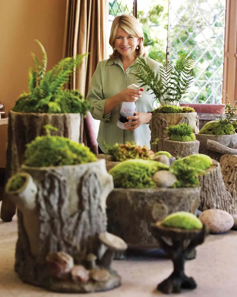 Moss Terraced Planters