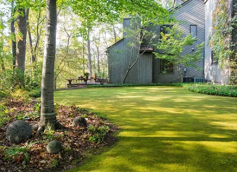 Moss Carpeted Patio