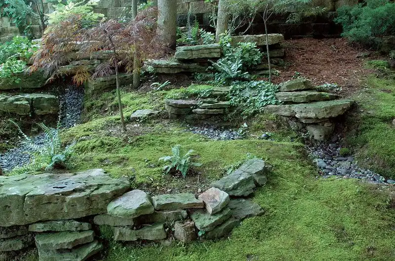 Mossy Woodland Retreat
