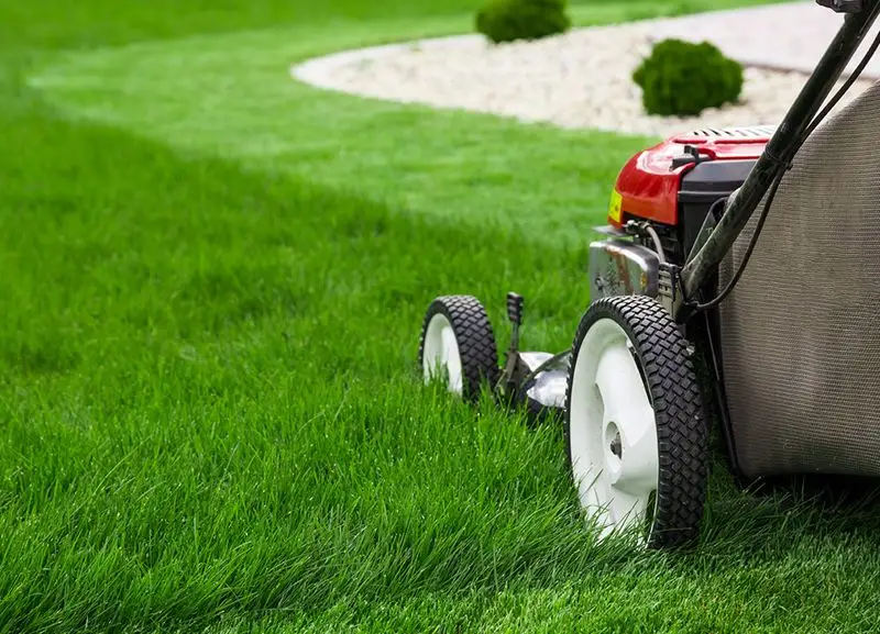Mow Regularly But Strategically