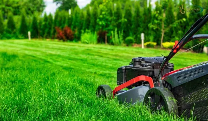 Mowing Consistently at the Right Height