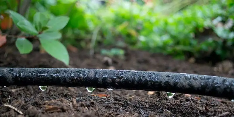 Install Irrigation System