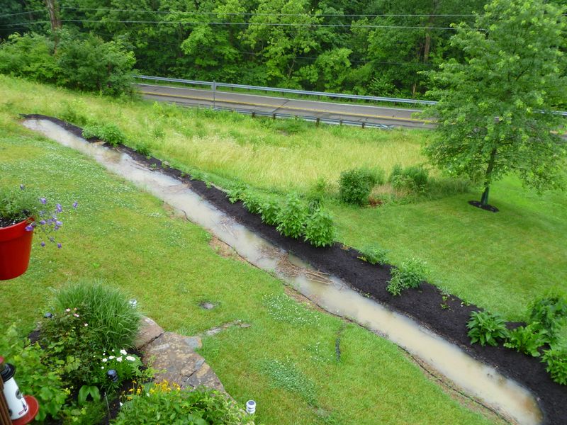 Install a Swale