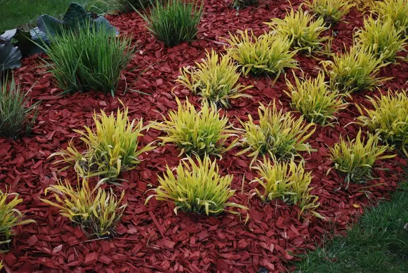 Mulch and Benefit