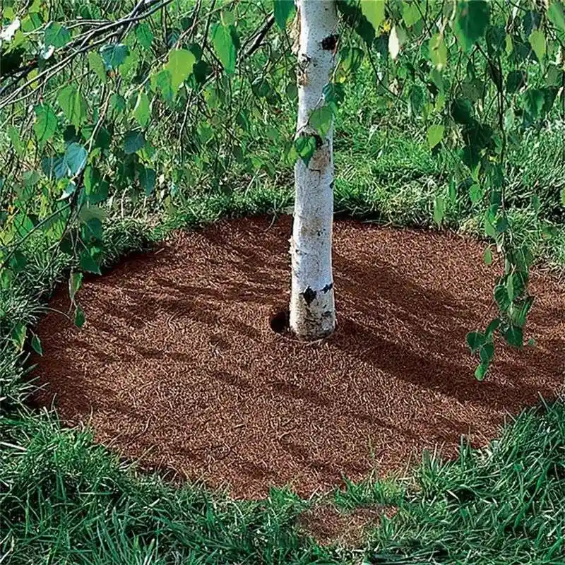 Mulch for Weed Control