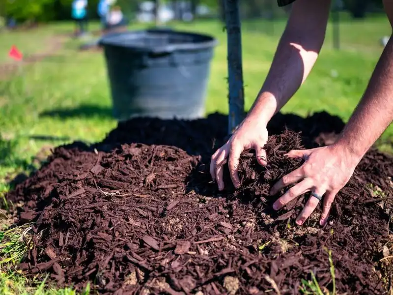 Mulch