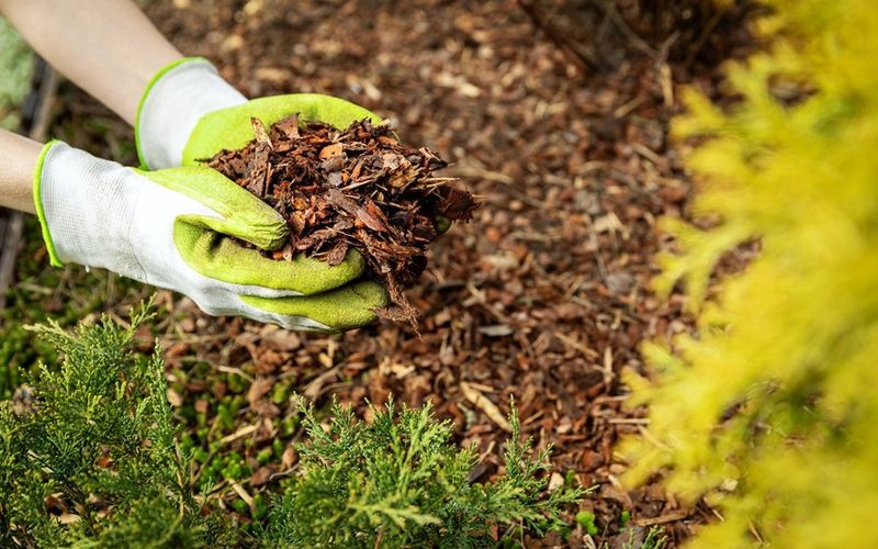 Mulching