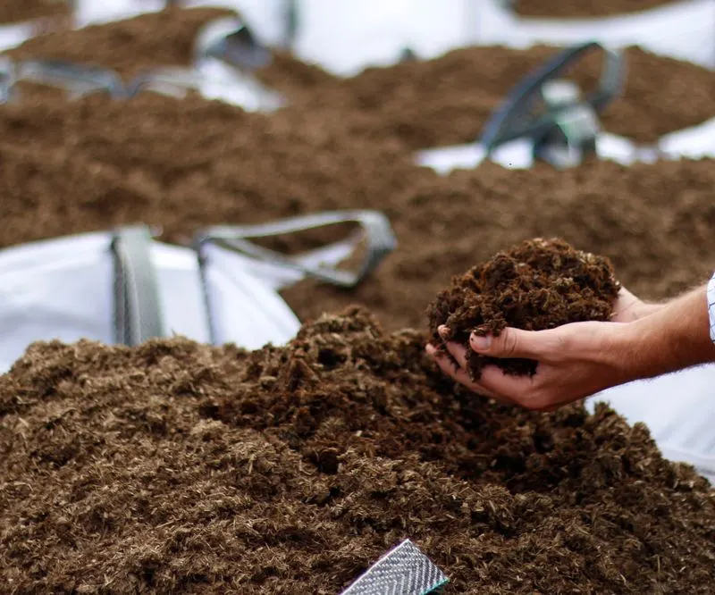 Mulching to Retain Moisture
