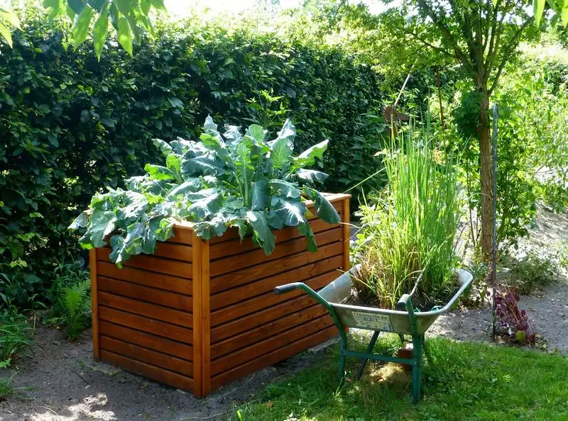 Myth 12: Home Remedies Are Always Safe for Plants