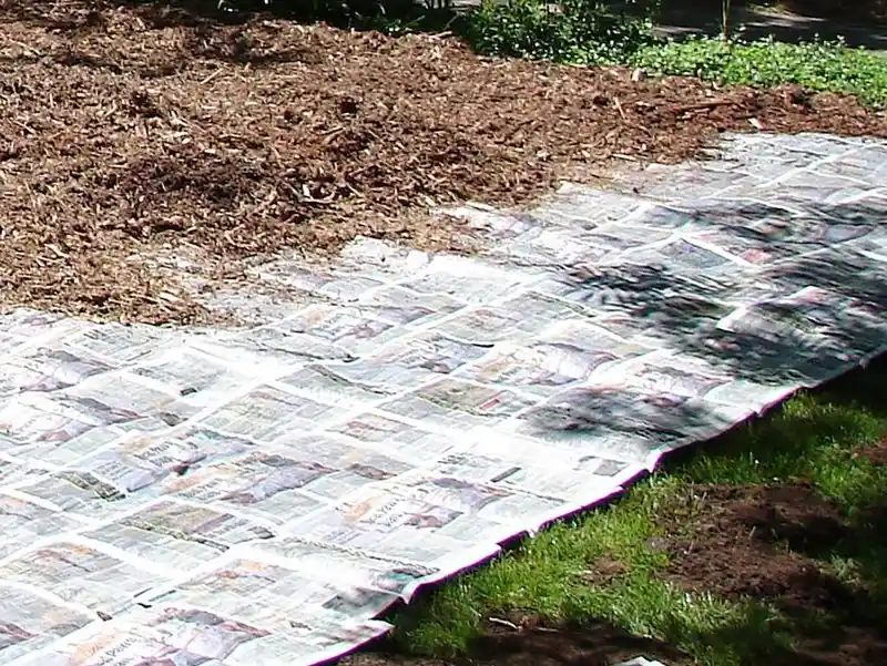 Myth 13: Newspaper as Mulch Means Instant Weed Control