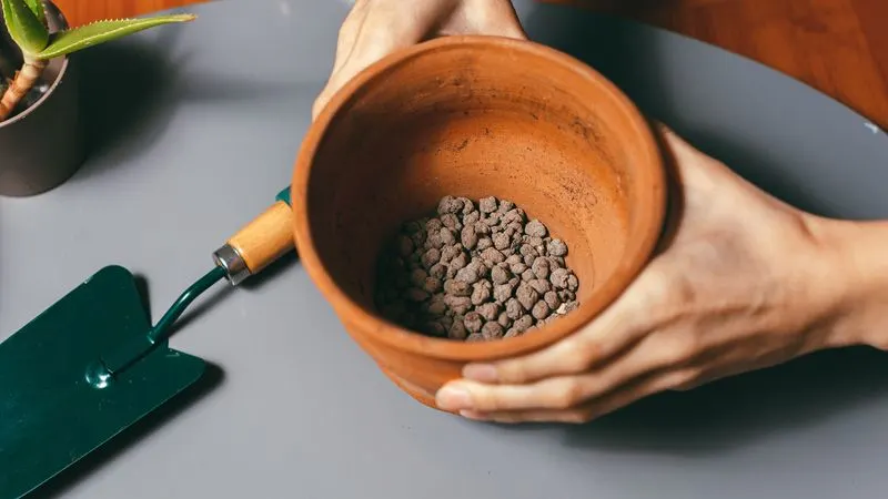Myth 16: Rocks in Pot Bottoms Improve Drainage