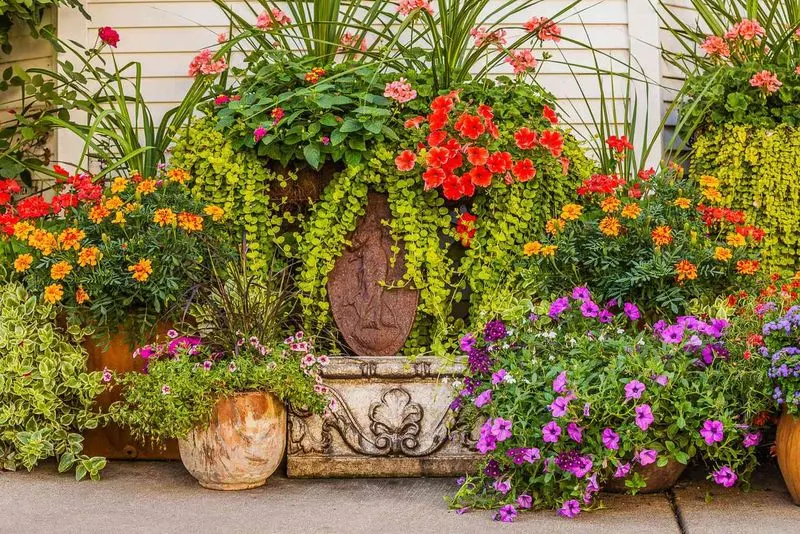 Myth 3: Bigger Pots Mean Bigger Plants