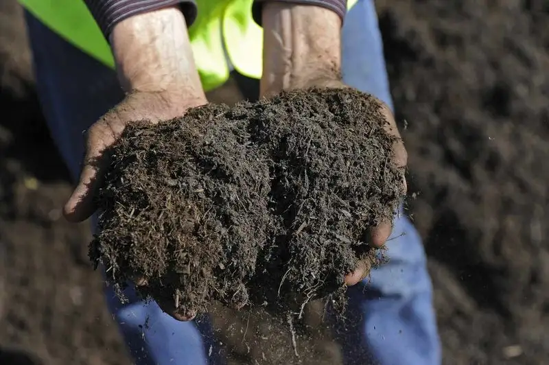 Myth 5: Adding Sand to Clay Soil Improves Drainage