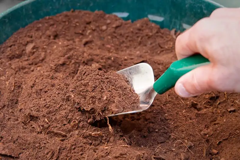 Myth 6: Coffee Grounds Acidify Soil