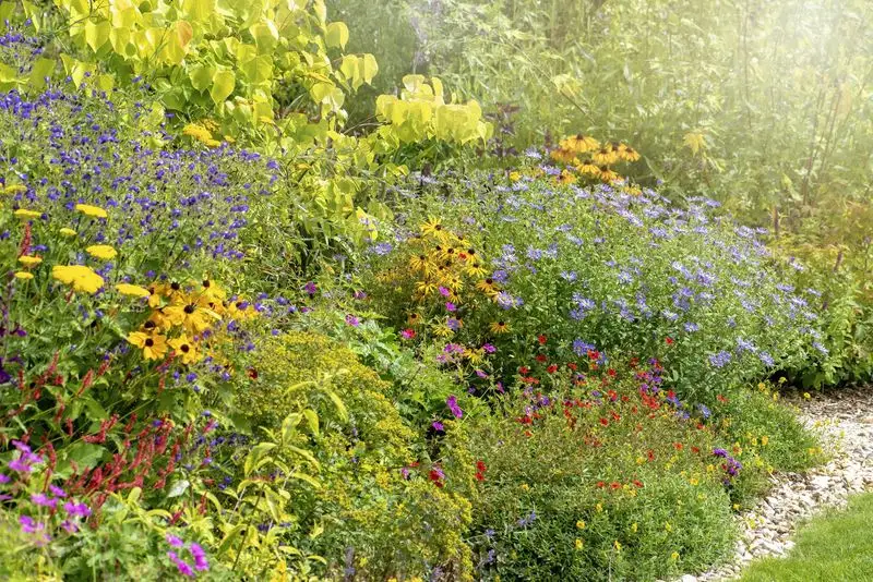 Myth 7: Talking to Plants Boosts Growth