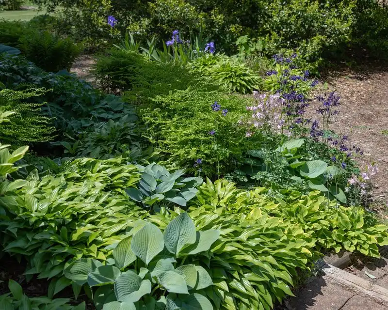 Myth 9: Gardens Need Full Sun All Day