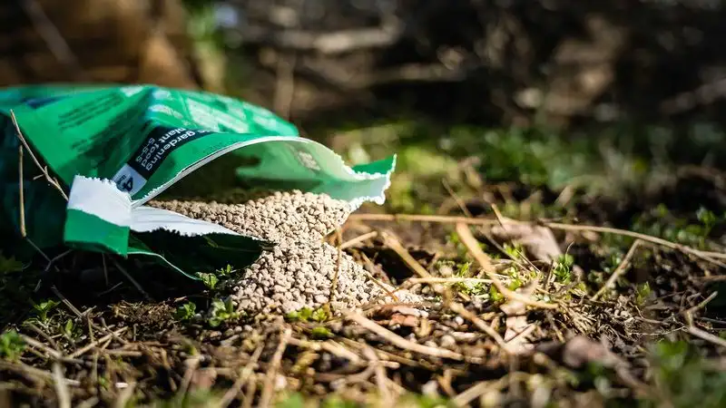 Myth 9: More Fertilizer Equals Better Growth
