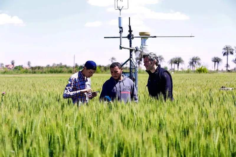 Fact: Monitoring and Adaptation Ensure Longevity