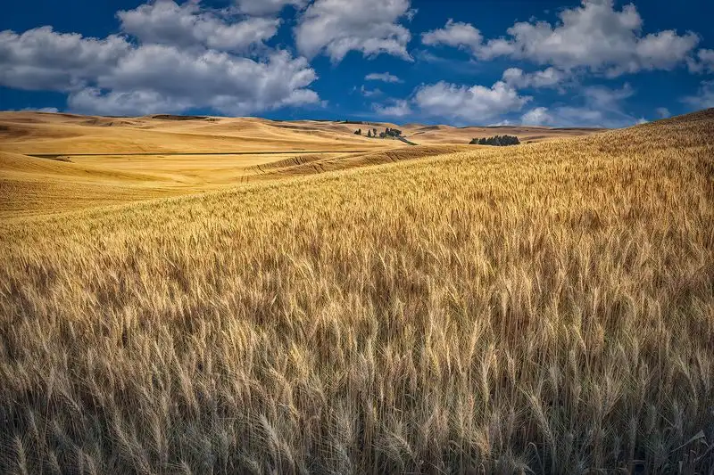 Fact: Climate Resilience is Built-In