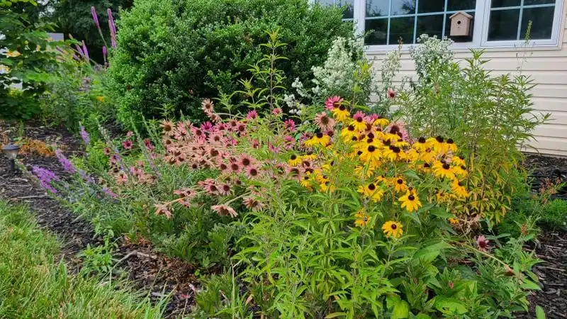 Native Plant Gardens