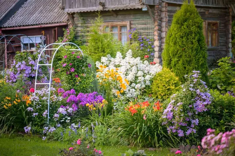 Native Planting