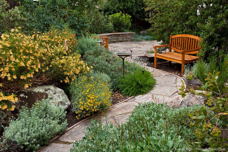 Native Plants