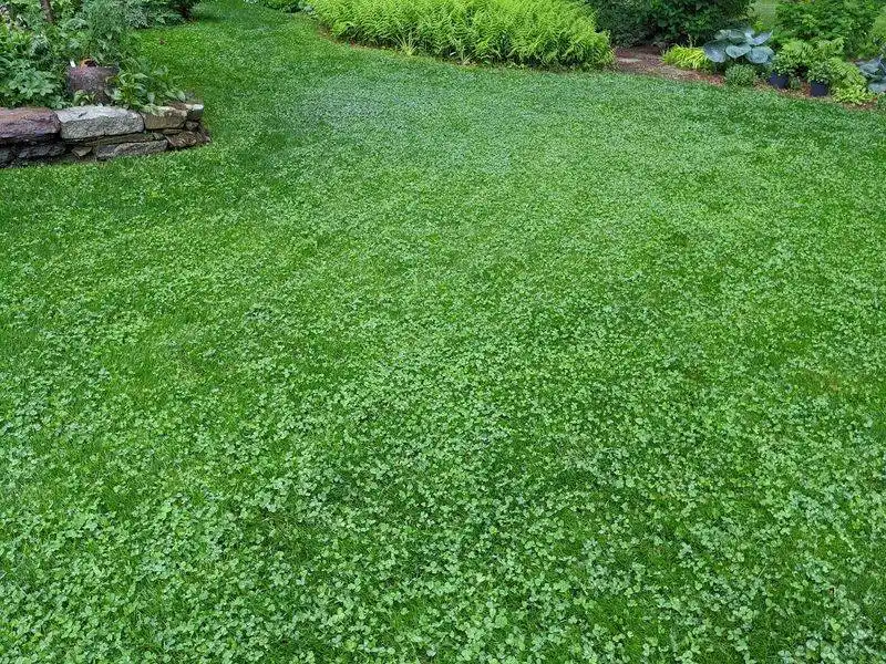 Natural Children's Playground