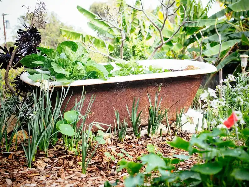 Neglect Soil Quality