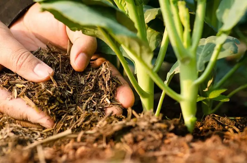 Rarely Adding Organic Matter