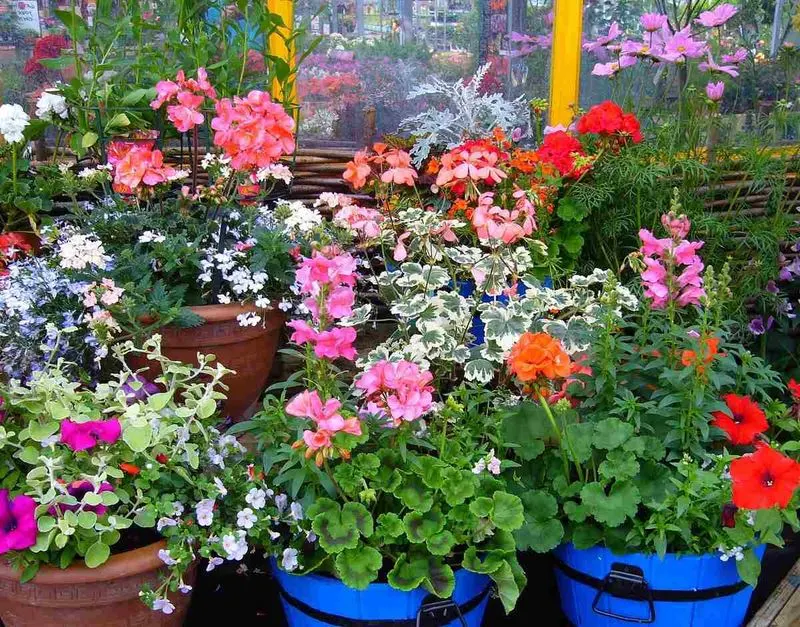 Ignoring Seasonal Changes