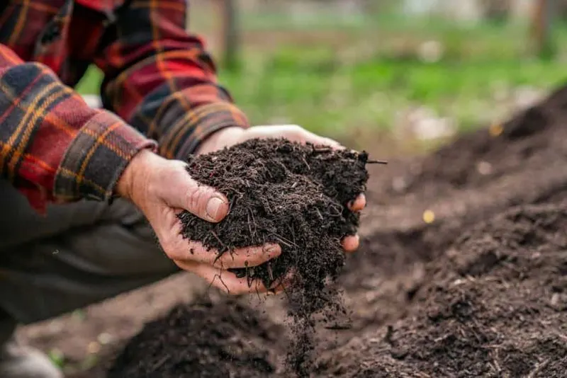 Neglecting Moisture Levels