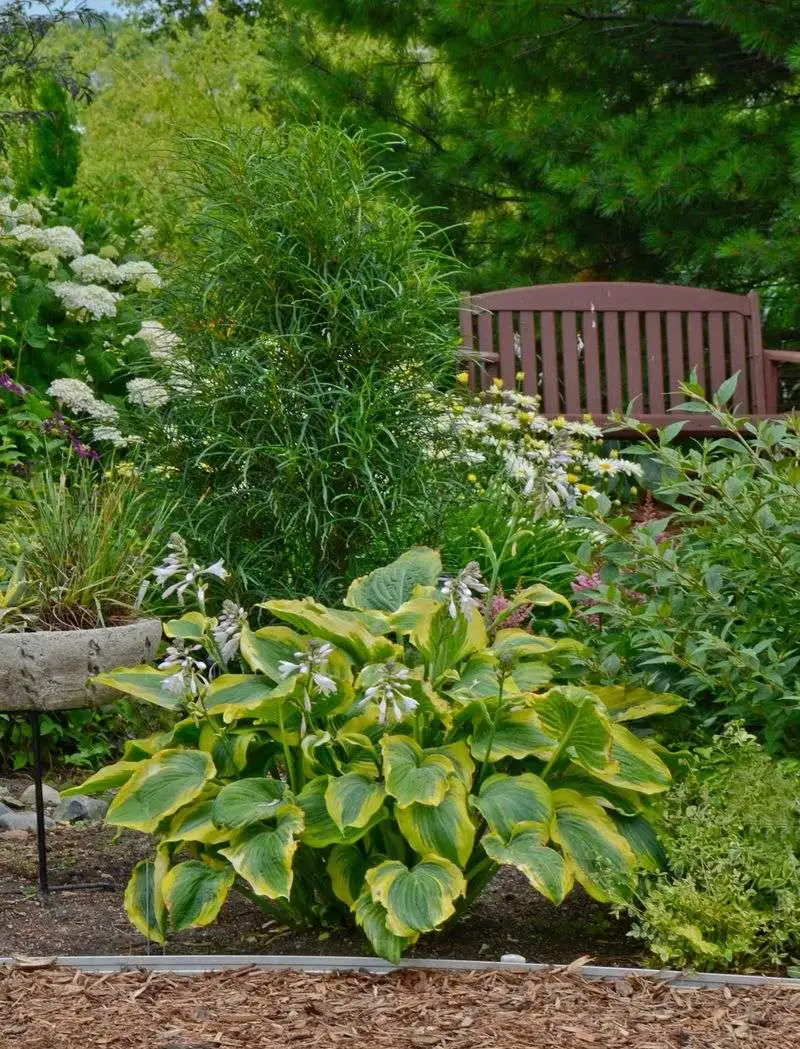 Using Monochrome Plants