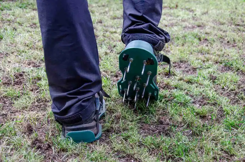 Skipping Regular Aeration