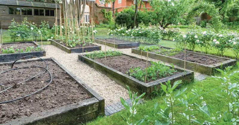 Ignoring Seasonal Planting