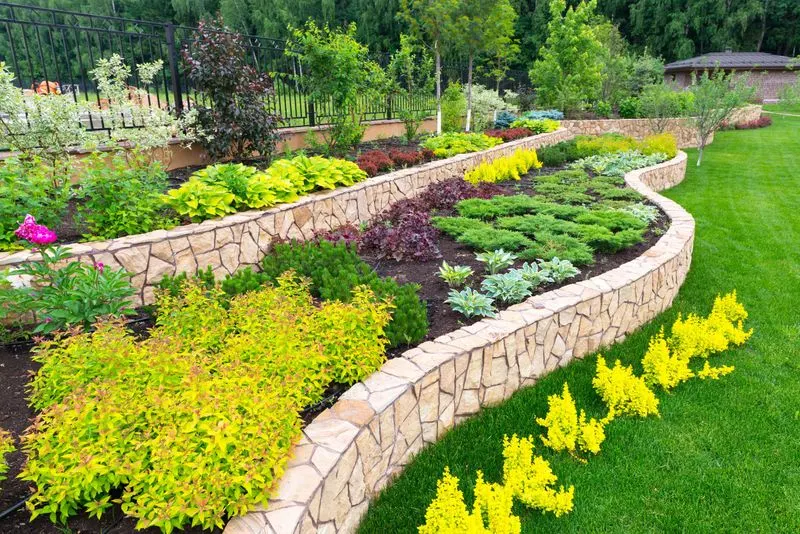 Creating Layered Planting
