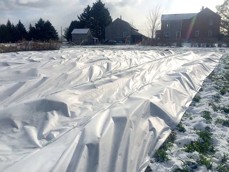 Not Providing Winter Protection
