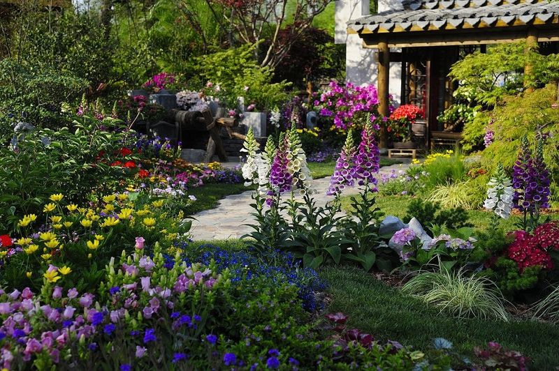 Diverse Plant Life