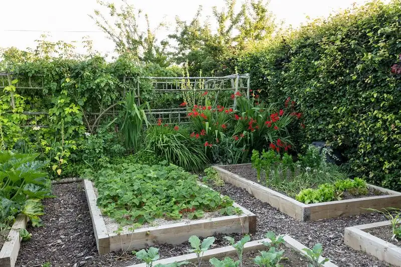 No-Dig Gardens