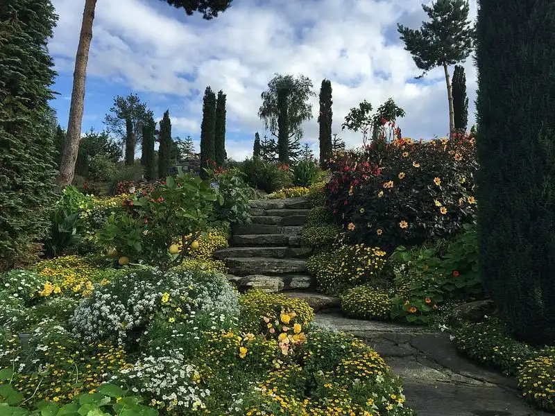 Norwegian Forest Garden