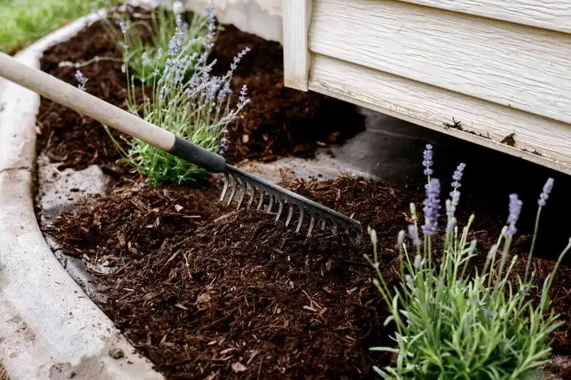 Neglecting Mulching