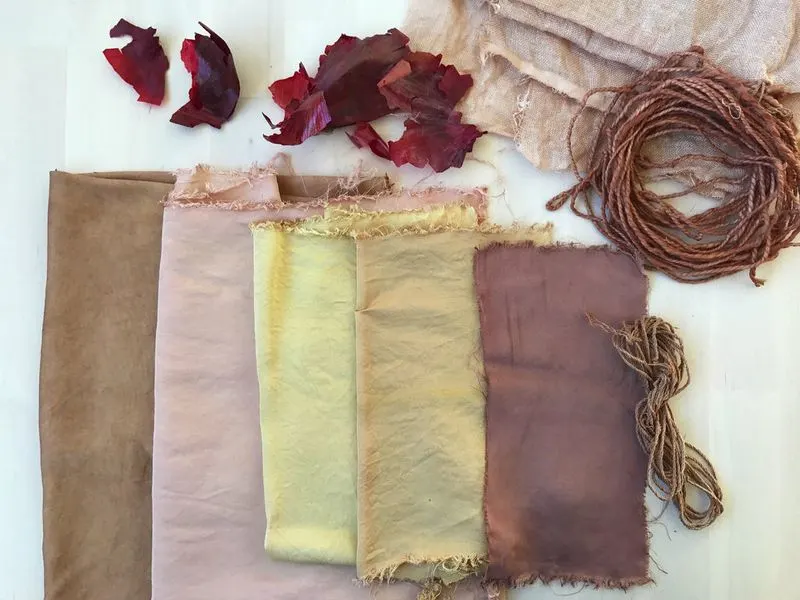 Onion Skin Plant Dye